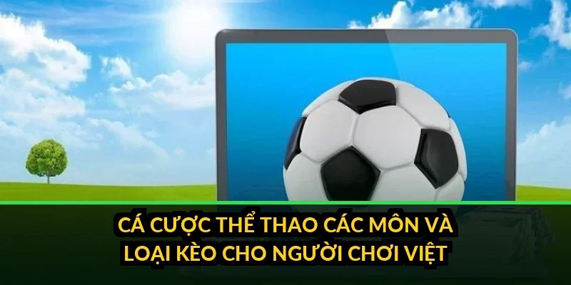 Cá cược thể thao B52 với các môn và loại kèo cho người chơi Việt