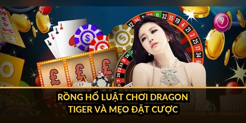 Rồng Hổ B52 - luật chơi Dragon Tiger và mẹo đặt cược