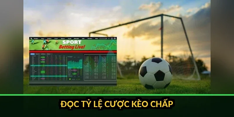 Bảng minh họa các mức chấp châu Á từ 0 đến 1 với kết quả thắng thua tương ứng