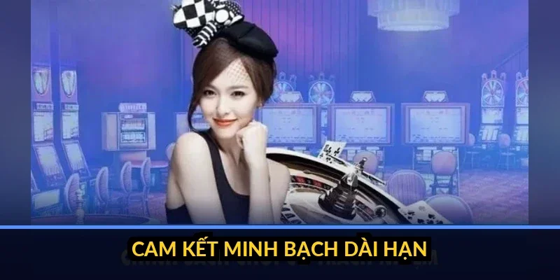 Dòng thời gian phát triển và các mốc minh bạch của thương hiệu B52