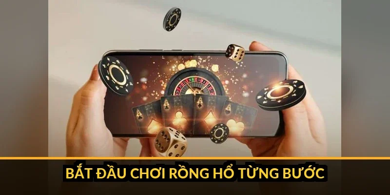 Các bước vào bàn và đặt cược Rồng Hổ B52 cho người mới