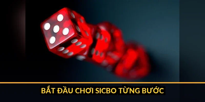 Các bước vào bàn và đặt cược Sicbo B52 cho người mới